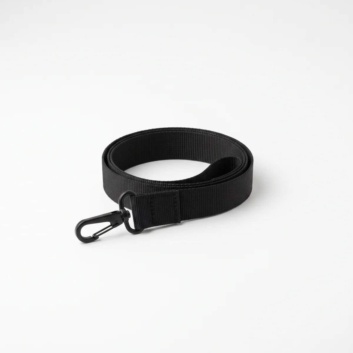 The Carry Loop